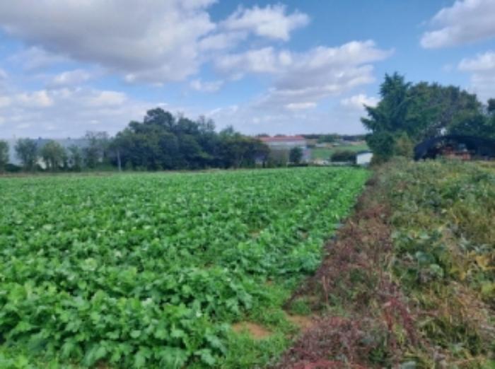 충청남도 당진시 신평면 초대리 631-28 전 경매 사진 25