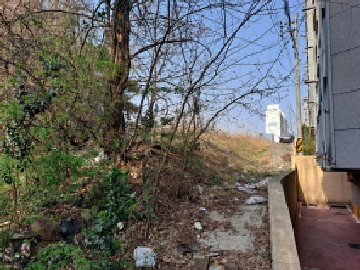 충청남도 당진시 읍내동 286-28 임야 경매 사진 16