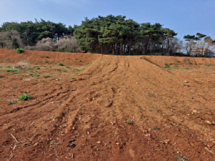 충청남도 당진시 읍내동 286-28 임야 경매 사진 24
