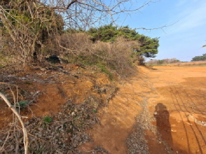 충청남도 당진시 읍내동 286-28 임야 경매 사진 25