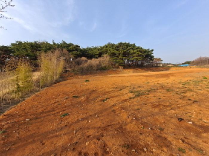 충청남도 당진시 읍내동 286-28 임야 경매 사진 26