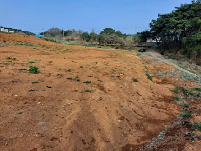 충청남도 당진시 읍내동 286-28 임야 경매 사진 6