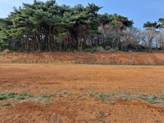 충청남도 당진시 읍내동 286-28 임야 경매 사진 9