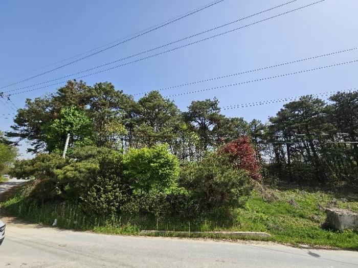 경기도 여주시 가남읍 본두리 770-15 임야 경매 사진 40