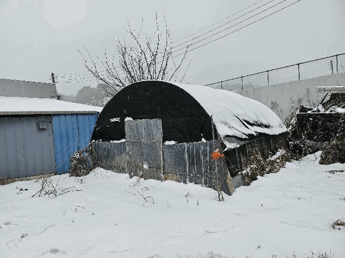 충청남도 금산군 금산읍 음지리 615-1 공장 경매 사진 22