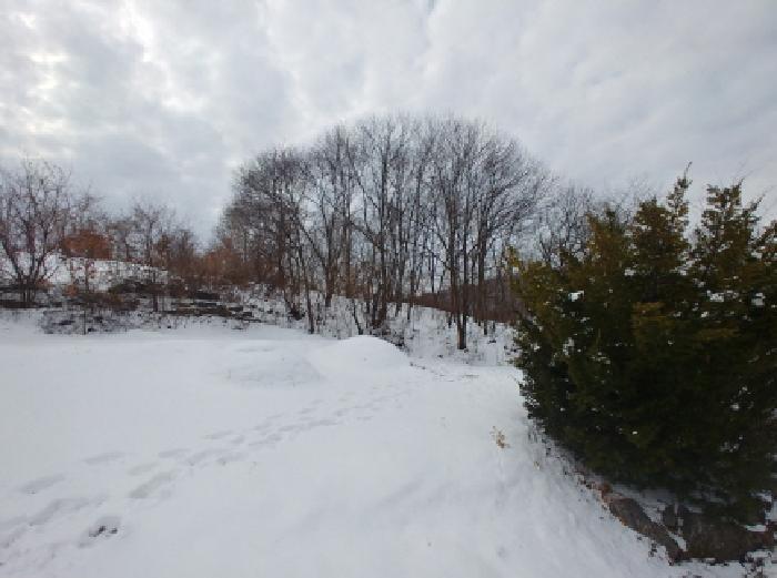 충청남도 금산군 남일면 황풍리 331-6 전 경매 사진 9