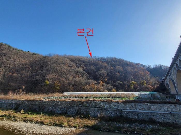 울산광역시 울주군 삼남읍 신화리 산49-11 임야 경매 사진 1