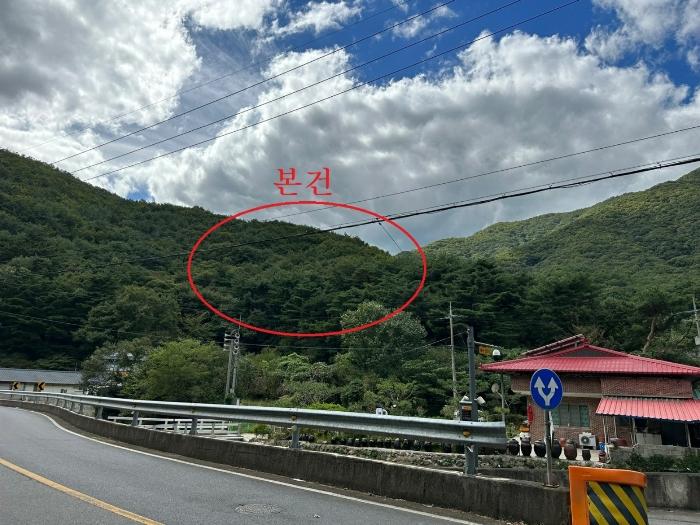 울산광역시 울주군 범서읍 척과리 산94 임야 경매 사진 2