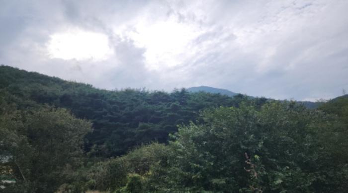 울산광역시 울주군 범서읍 척과리 산94 임야 경매 사진 3