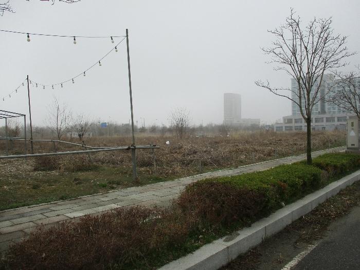 인천광역시 중구 운북동 1272-15 대지 경매 사진 2