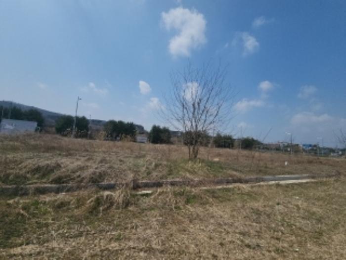 인천광역시 중구 운북동 1272-15 대지 경매 사진 9