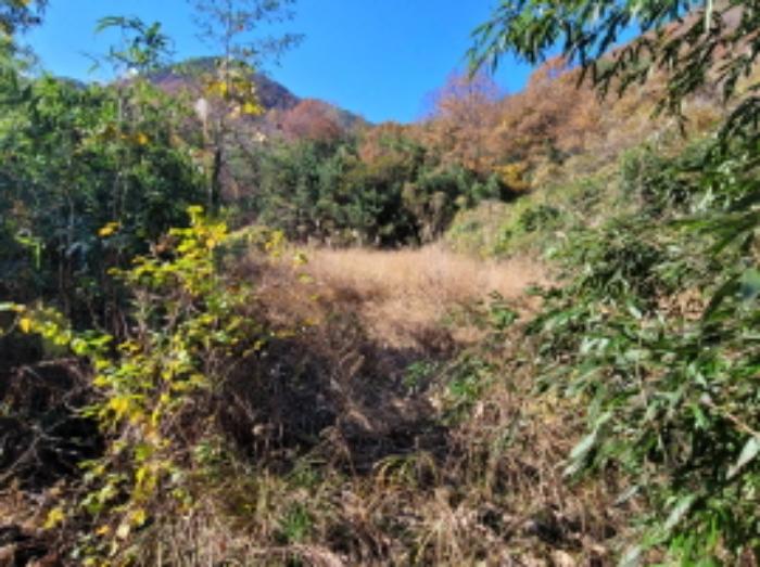 경상남도 하동군 고전면 성천리 836-1 답 경매 사진 10