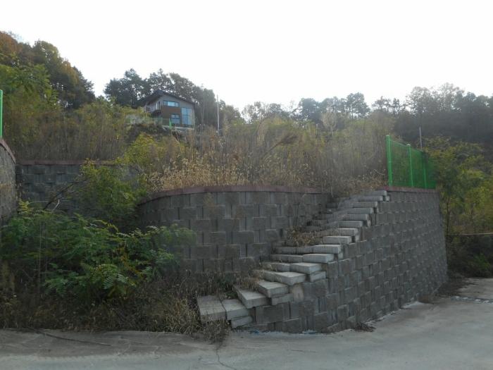 경상북도 안동시 안막동 14-8 임야 경매 사진 2