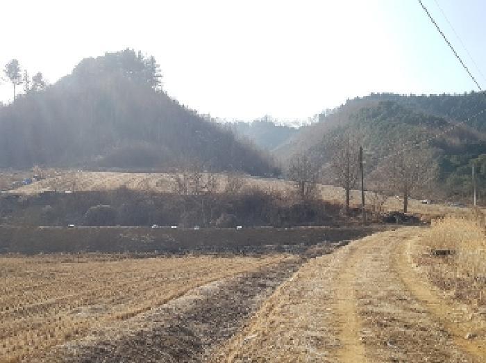 강원특별자치도 홍천군 두촌면 원동리 136-1 전 경매 사진 3
