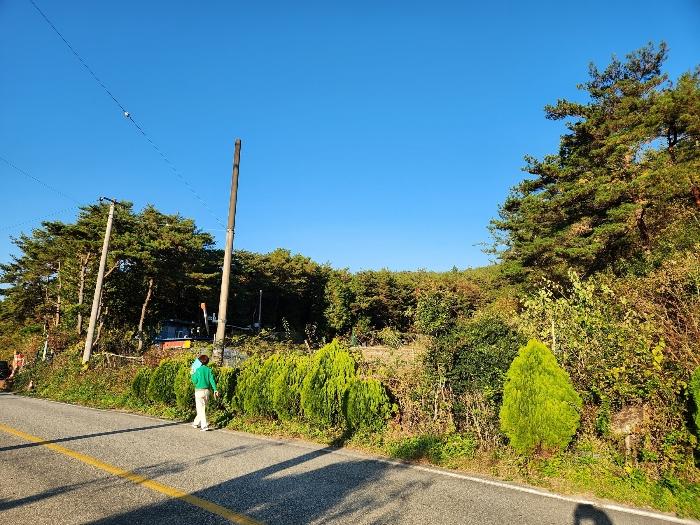 경상남도 진주시 수곡면 효자리 산101-1 임야 경매 사진 2
