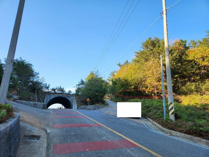 경상남도 남해군 창선면 서대리 산82 임야 경매 사진 8