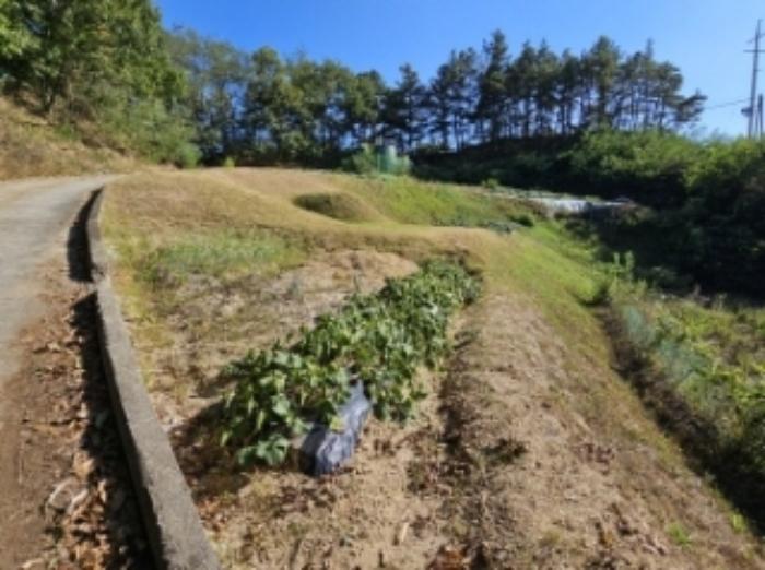 경상북도 영주시 이산면 용상리 936 전 경매 사진 5