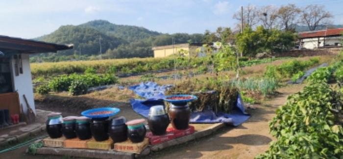 경상북도 안동시 일직면 송리리 68 과수원 경매 사진 10