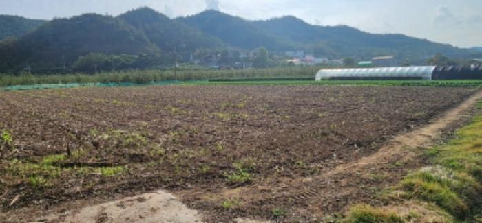 경상북도 안동시 일직면 송리리 68 과수원 경매 사진 16