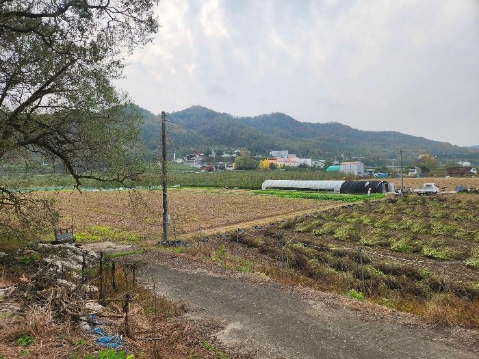 경상북도 안동시 일직면 송리리 68 과수원 경매 사진 2