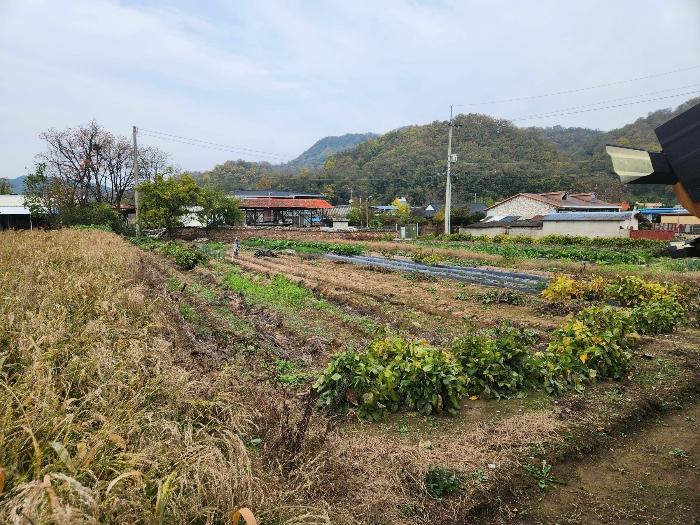 경상북도 안동시 일직면 송리리 268-1 전 경매 사진 4