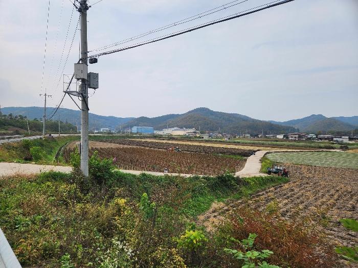 경상북도 안동시 일직면 송리리 268-1 전 경매 사진 6