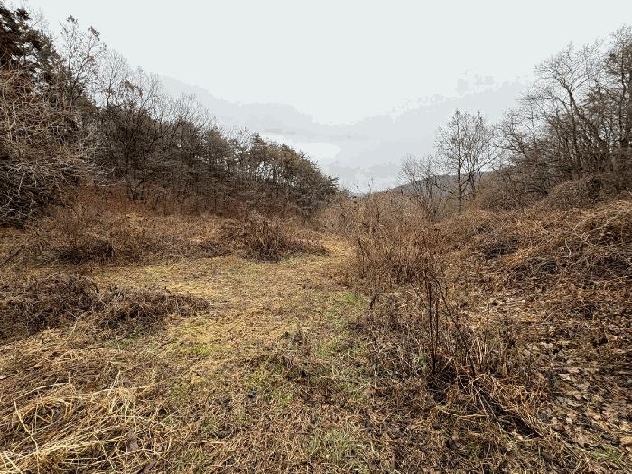 전라남도 영암군 영암읍 한대리 239 답 경매 사진 4