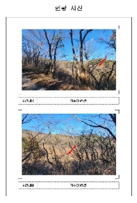 전라남도 영암군 영암읍 한대리 239 답 경매 사진 5