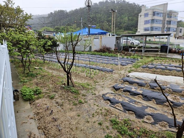 부산광역시 기장군 일광읍 학리 278-4 전 경매 사진 2