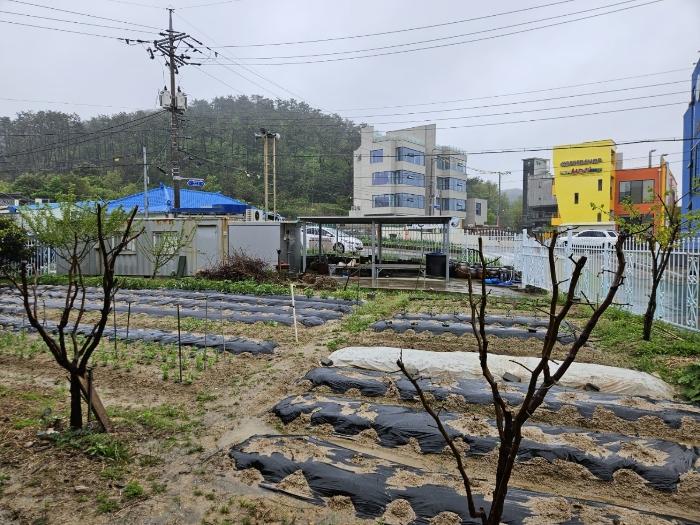 부산광역시 기장군 일광읍 학리 278-4 전 경매 사진 4