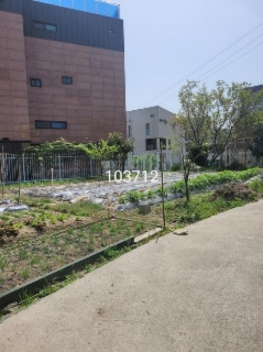 부산광역시 기장군 일광읍 학리 278-4 전 경매 사진 6