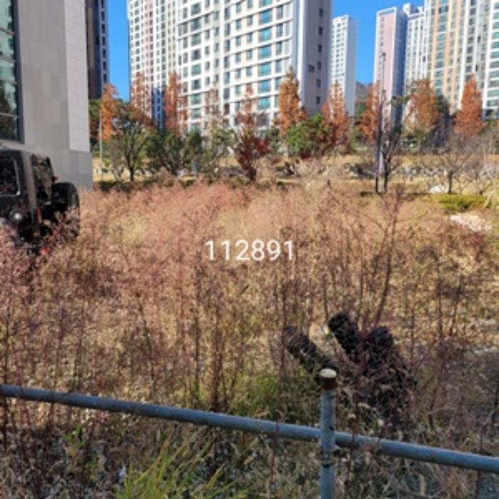 부산광역시 기장군 일광읍 삼성리 833-1 대지 경매 사진 3