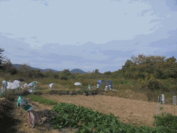 전라남도 광양시 성황동 1126 전 경매 사진 4