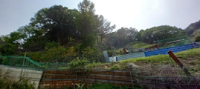 강원도 철원군 근남면 육단리 476 전 경매 사진 7