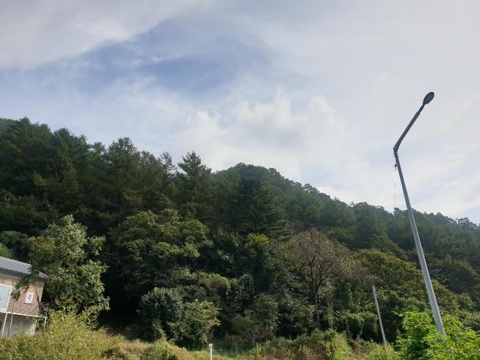 경기도 가평군 청평면 호명리 산55-1 임야 경매 사진 2