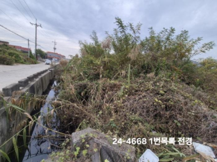 부산광역시 강서구 대저1동 3191-3 전 경매 사진 10