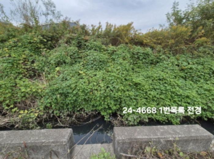 부산광역시 강서구 대저1동 3191-3 전 경매 사진 11