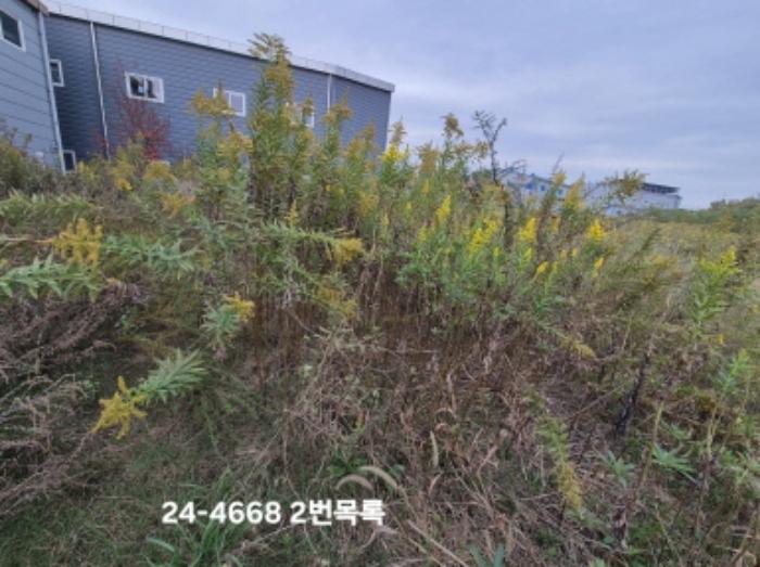 부산광역시 강서구 대저1동 3191-3 전 경매 사진 7