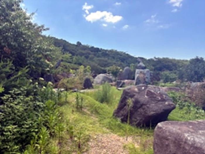 경상남도 창원시 진해구 장천동 33 답 경매 사진 18