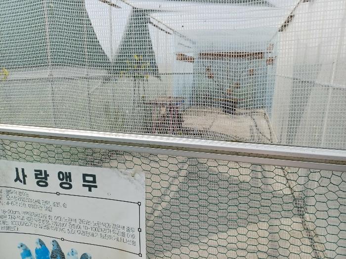 경상남도 창원시 진해구 장천동 35-2 전 경매 사진 13