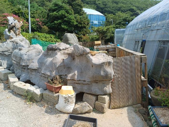 경상남도 창원시 진해구 장천동 35-2 전 경매 사진 9