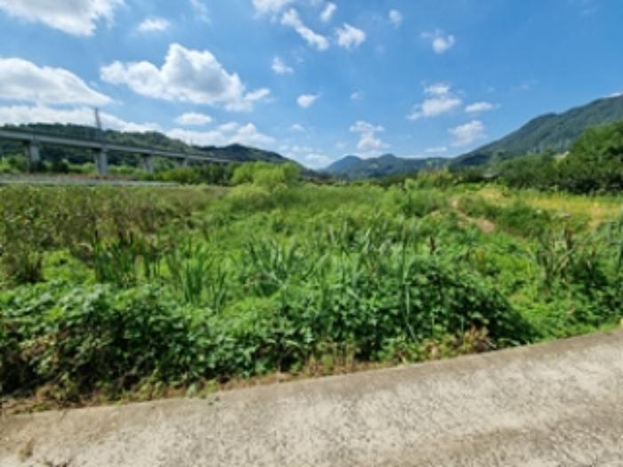 경상남도 창원시 의창구 동읍 용전리 143-4 답 경매 사진 7