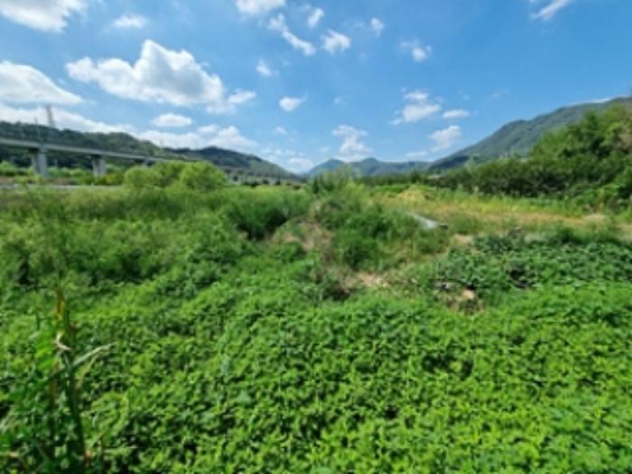 경상남도 창원시 의창구 동읍 용전리 143-4 답 경매 사진 8