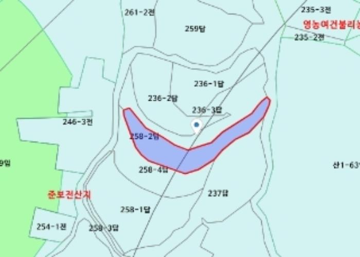 세종특별자치시 전의면 원성리 258-2 답 경매 사진 8