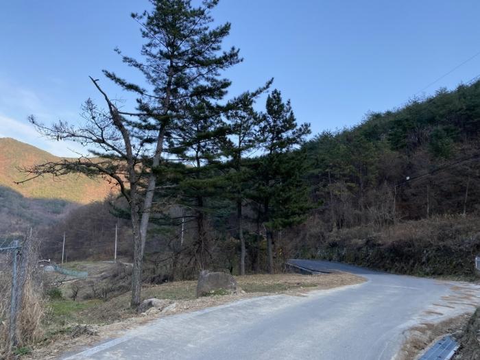 경상북도 청도군 금천면 사전리 1315-1 전 경매 사진 1