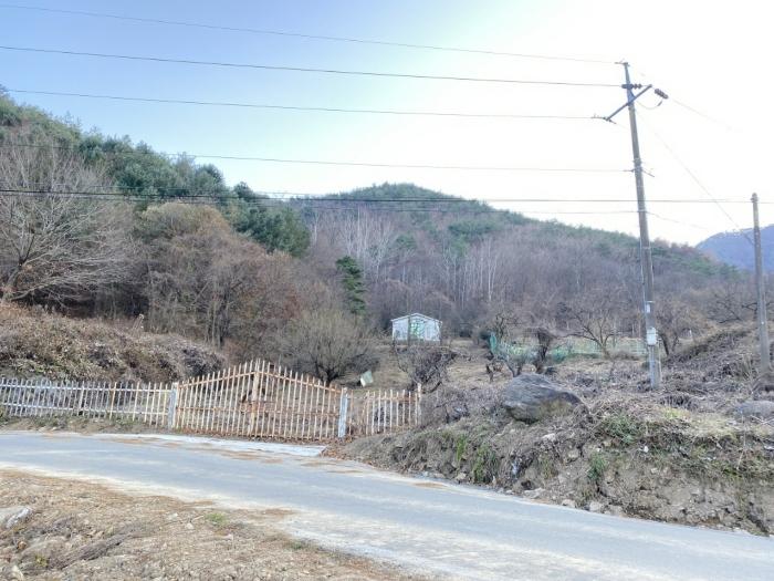 경상북도 청도군 금천면 사전리 1315-1 전 경매 사진 5