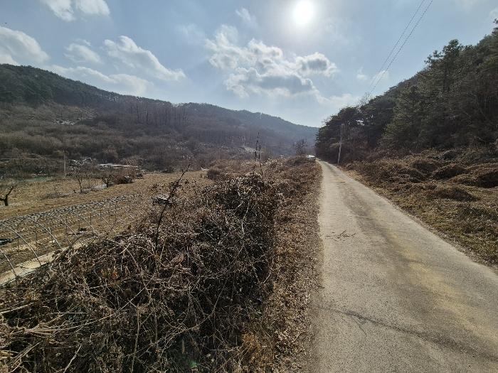 경상북도 칠곡군 가산면 가산리 792 답 경매 사진 2