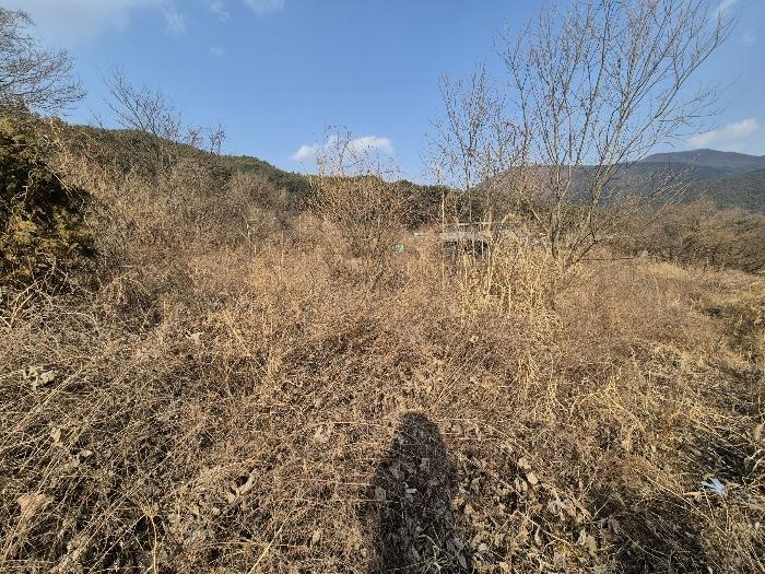 경상북도 칠곡군 가산면 가산리 792 답 경매 사진 3