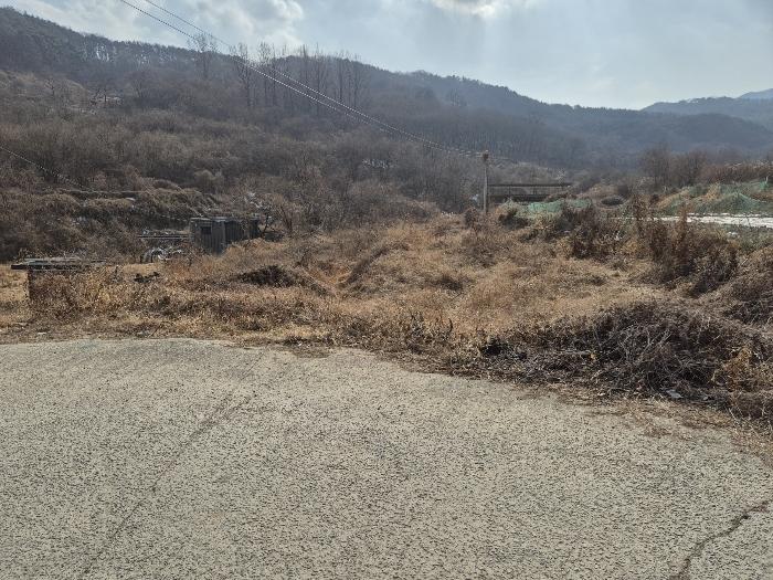 경상북도 칠곡군 가산면 가산리 792 답 경매 사진 4