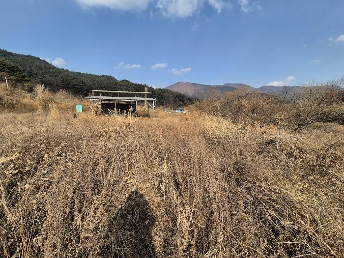 경상북도 칠곡군 가산면 가산리 792 답 경매 사진 5